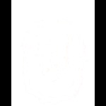 b1n