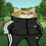 iguinhokk